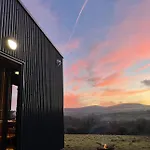 Tranquil Tigin - Your Little In Wicklow