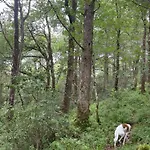 Tranquil Tigin - Your Little In