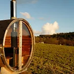 Tranquil Tigin - Your Little In * Wicklow