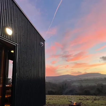 Tranquil Tigin - Your Little In Wicklow