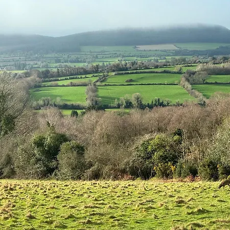 Tranquil Tigín - Your Little In Casa de Férias Wicklow