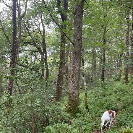 Tranquil Tigin - Your Little In