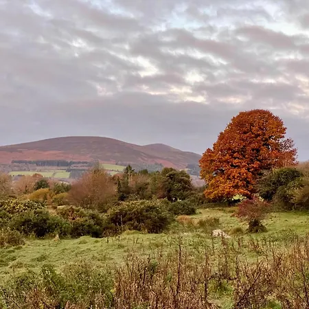 Tranquil Tigín - Your Little In Casa de Férias Wicklow