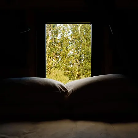 Tranquil Tigín - Your Little In Wicklow