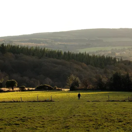 Tranquil Tigín - Your Little In