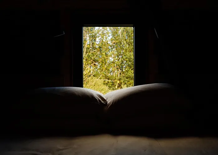 Tranquil Tigin - Your Little In Wicklow