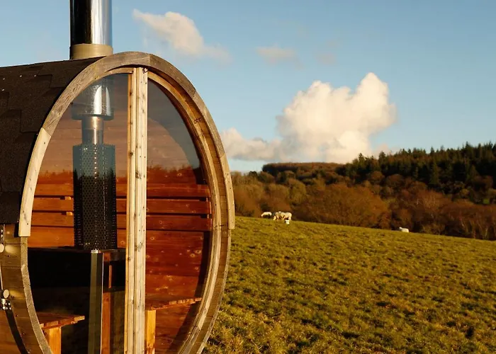 Tranquil Tigin - Your Little In * Wicklow