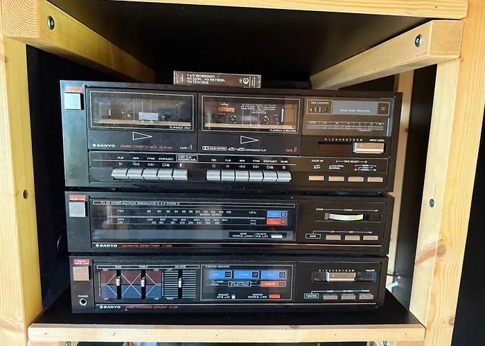 Tranquil Tigin - Your Little In * Wicklow